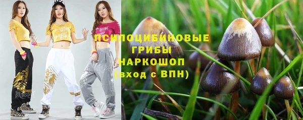 apvp Абаза